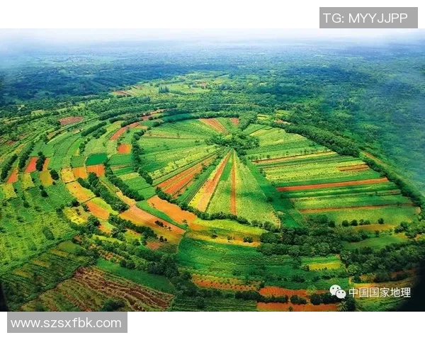 全球足球巨星全景展示与传奇故事汇编