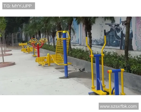 全面解析室外健身器材种类及其功能特点助你选择适合的健身设备