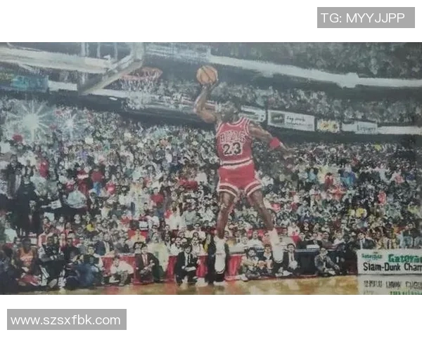 篮球带球明星的精彩瞬间与背后的奋斗故事解析