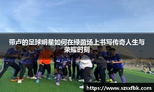 带卢的足球明星如何在绿茵场上书写传奇人生与荣耀时刻