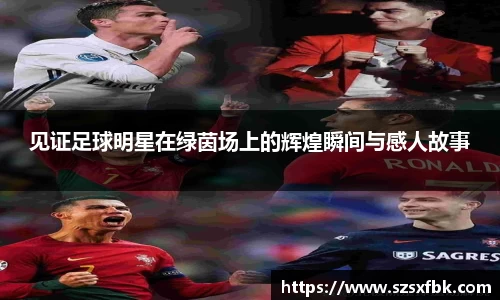 见证足球明星在绿茵场上的辉煌瞬间与感人故事